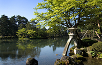 箔一の取り組み